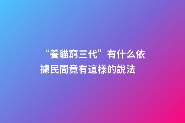 “養貓窮三代”有什么依據?民間竟有這樣的說法
