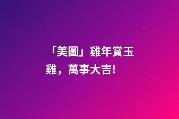 「美圖」雞年賞玉雞，萬事大吉!