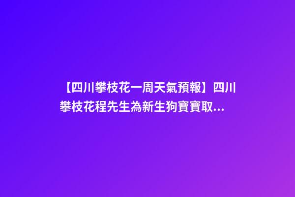 【四川攀枝花一周天氣預報】四川攀枝花程先生為新生狗寶寶取名時尚型套餐-第1張-公司起名-玄機派