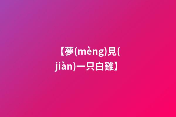 【夢(mèng)見(jiàn)一只白雞】