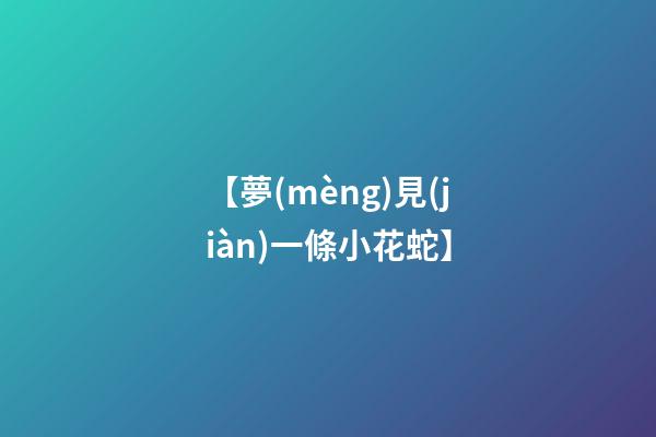 【夢(mèng)見(jiàn)一條小花蛇】