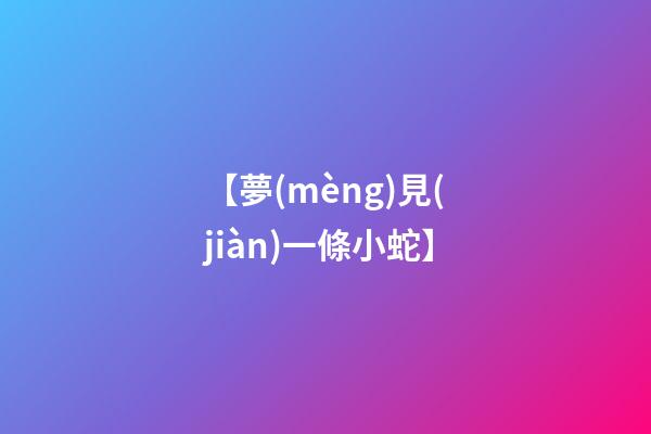 【夢(mèng)見(jiàn)一條小蛇】