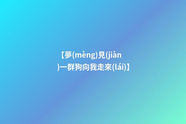 【夢(mèng)見(jiàn)一群狗向我走來(lái)】