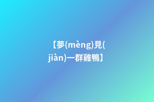 【夢(mèng)見(jiàn)一群雞鴨】