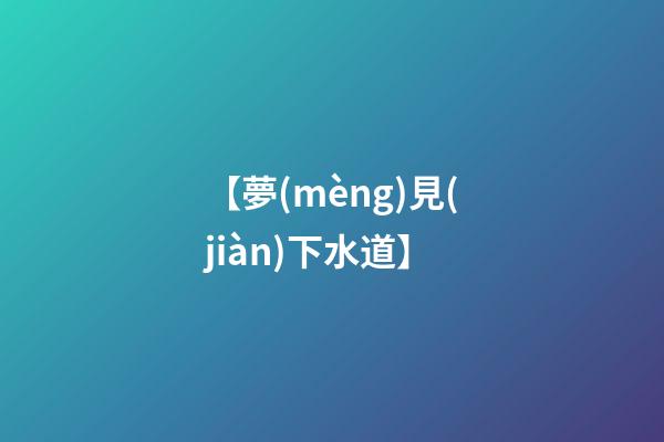 【夢(mèng)見(jiàn)下水道】