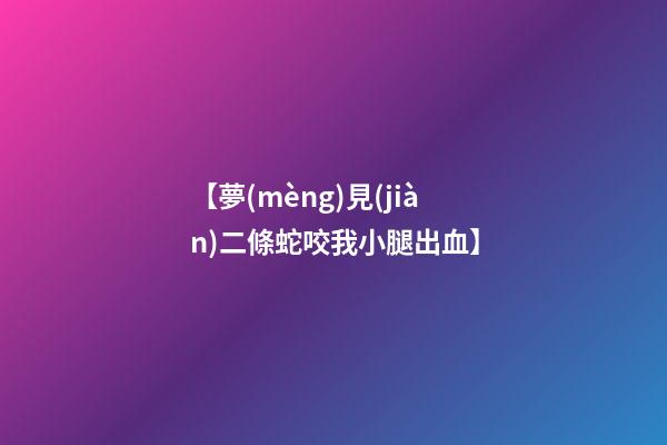【夢(mèng)見(jiàn)二條蛇咬我小腿出血】