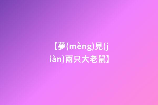 【夢(mèng)見(jiàn)兩只大老鼠】