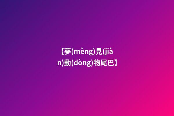 【夢(mèng)見(jiàn)動(dòng)物尾巴】