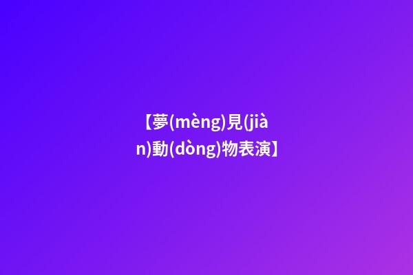 【夢(mèng)見(jiàn)動(dòng)物表演】