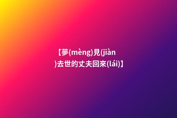 【夢(mèng)見(jiàn)去世的丈夫回來(lái)】