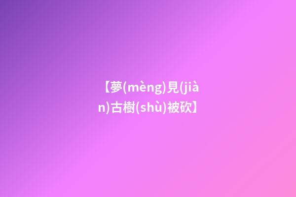 【夢(mèng)見(jiàn)古樹(shù)被砍】