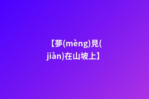 【夢(mèng)見(jiàn)在山坡上】