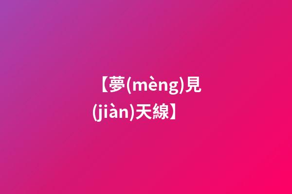【夢(mèng)見(jiàn)天線】