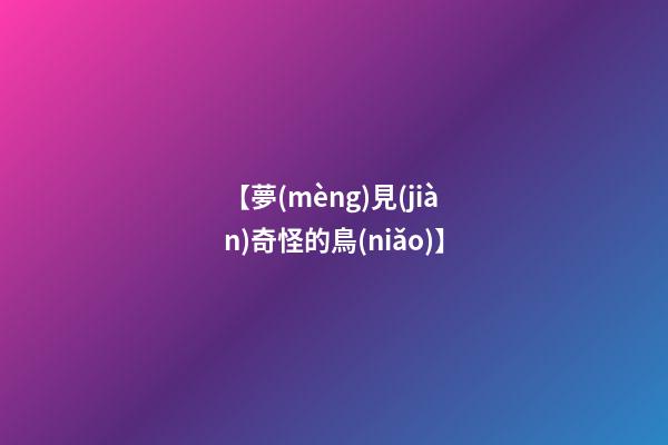 【夢(mèng)見(jiàn)奇怪的鳥(niǎo)】