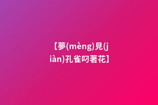 【夢(mèng)見(jiàn)孔雀叼著花】