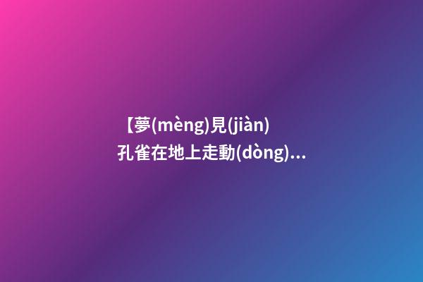 【夢(mèng)見(jiàn)孔雀在地上走動(dòng)】