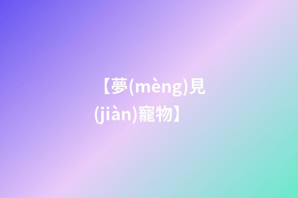 【夢(mèng)見(jiàn)寵物】