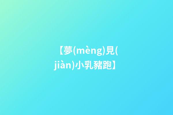 【夢(mèng)見(jiàn)小乳豬跑】