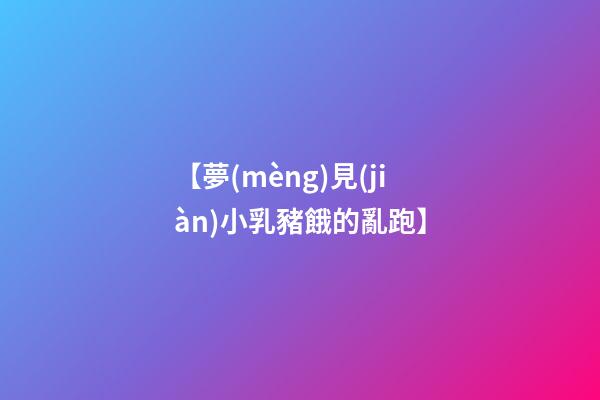 【夢(mèng)見(jiàn)小乳豬餓的亂跑】