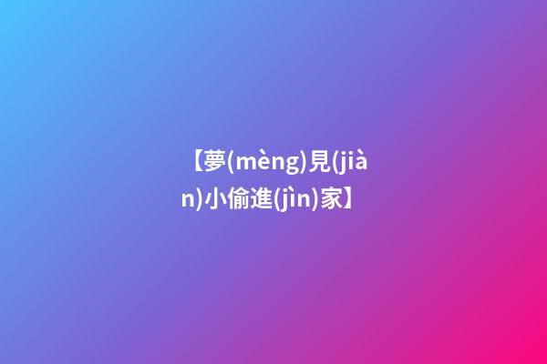 【夢(mèng)見(jiàn)小偷進(jìn)家】