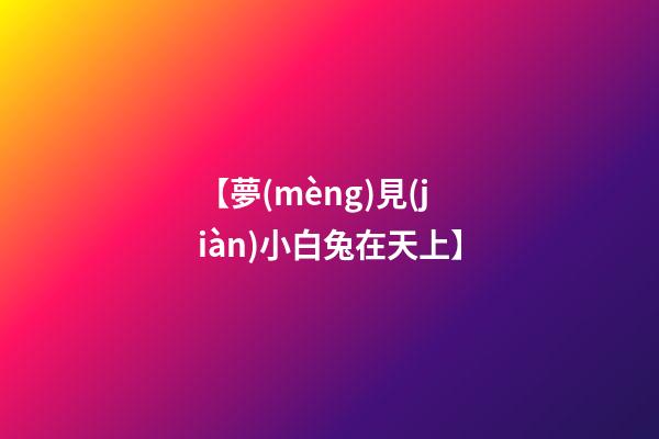 【夢(mèng)見(jiàn)小白兔在天上】