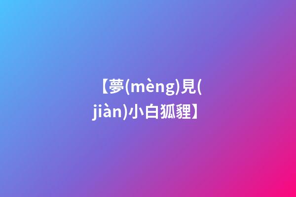 【夢(mèng)見(jiàn)小白狐貍】