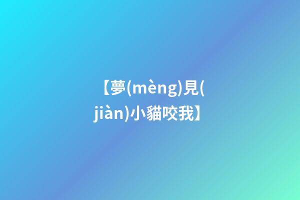 【夢(mèng)見(jiàn)小貓咬我】