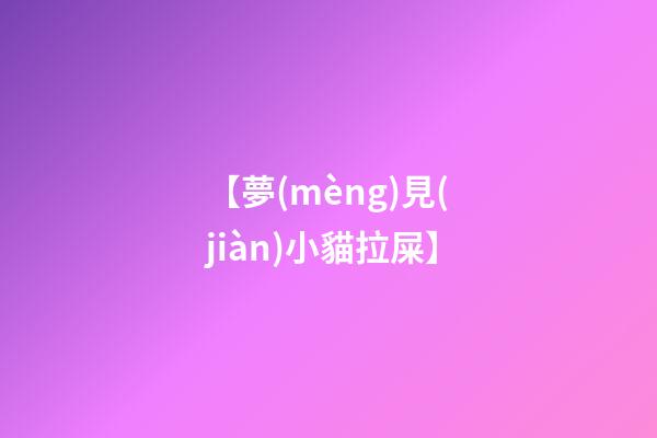 【夢(mèng)見(jiàn)小貓拉屎】