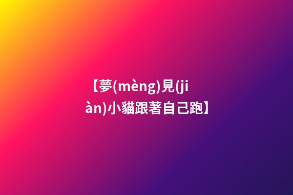 【夢(mèng)見(jiàn)小貓跟著自己跑】