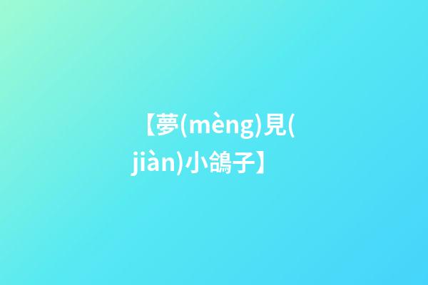 【夢(mèng)見(jiàn)小鴿子】
