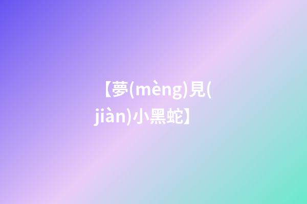 【夢(mèng)見(jiàn)小黑蛇】