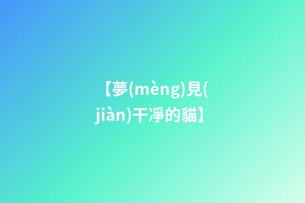 【夢(mèng)見(jiàn)干凈的貓】