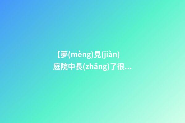 【夢(mèng)見(jiàn)庭院中長(zhǎng)了很多花草樹(shù)木】