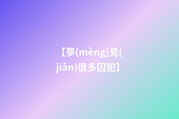 【夢(mèng)見(jiàn)很多囚犯】