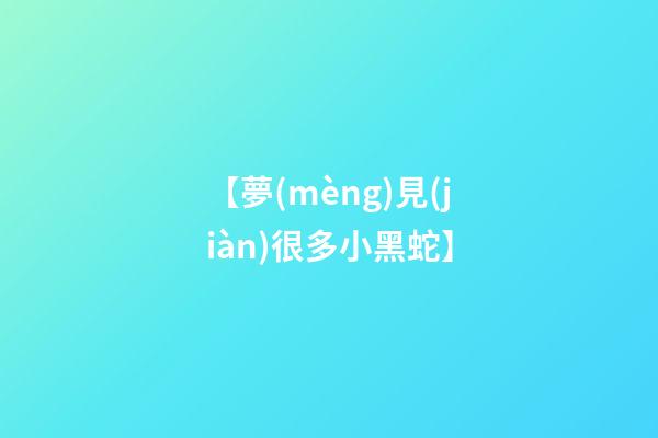 【夢(mèng)見(jiàn)很多小黑蛇】