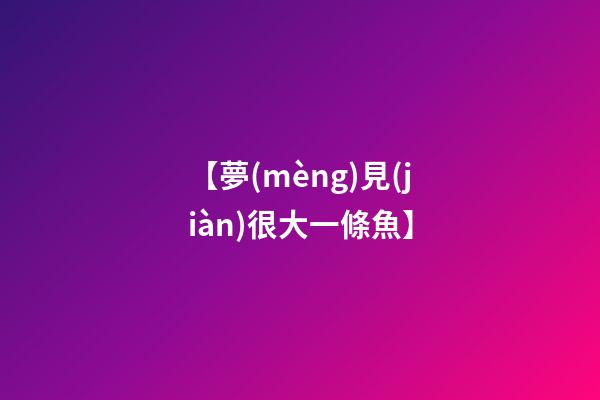 【夢(mèng)見(jiàn)很大一條魚】