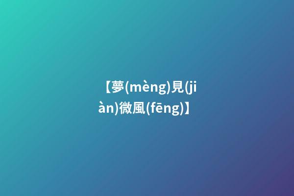 【夢(mèng)見(jiàn)微風(fēng)】