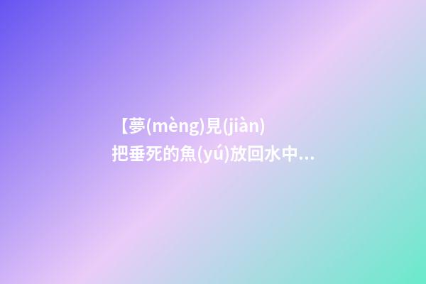 【夢(mèng)見(jiàn)把垂死的魚(yú)放回水中】