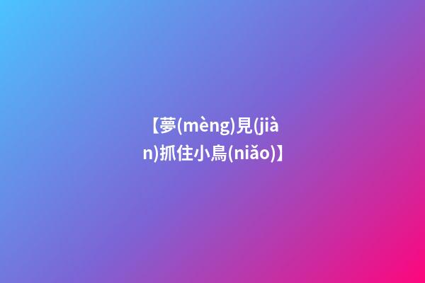 【夢(mèng)見(jiàn)抓住小鳥(niǎo)】