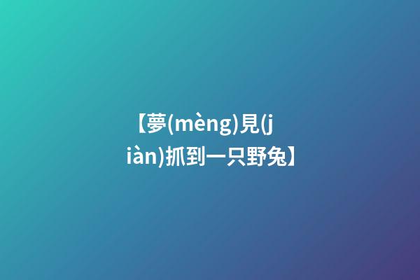 【夢(mèng)見(jiàn)抓到一只野兔】