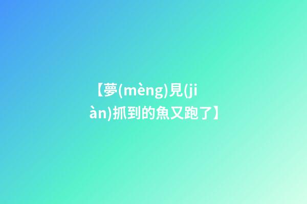 【夢(mèng)見(jiàn)抓到的魚又跑了】