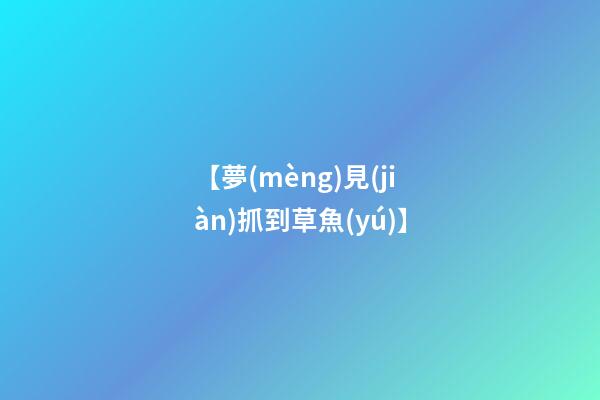 【夢(mèng)見(jiàn)抓到草魚(yú)】