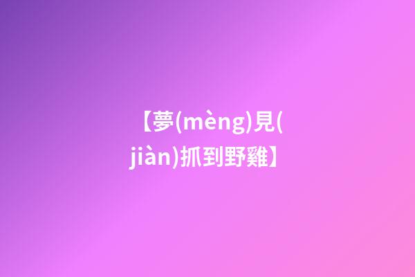【夢(mèng)見(jiàn)抓到野雞】