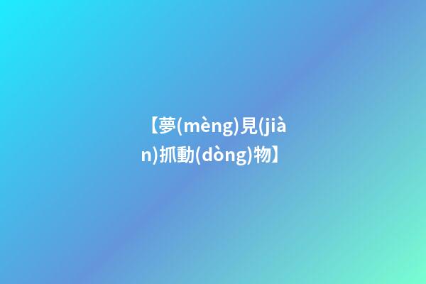 【夢(mèng)見(jiàn)抓動(dòng)物】