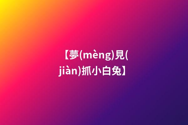 【夢(mèng)見(jiàn)抓小白兔】