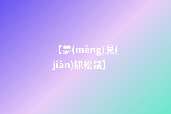 【夢(mèng)見(jiàn)抓松鼠】