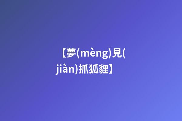 【夢(mèng)見(jiàn)抓狐貍】