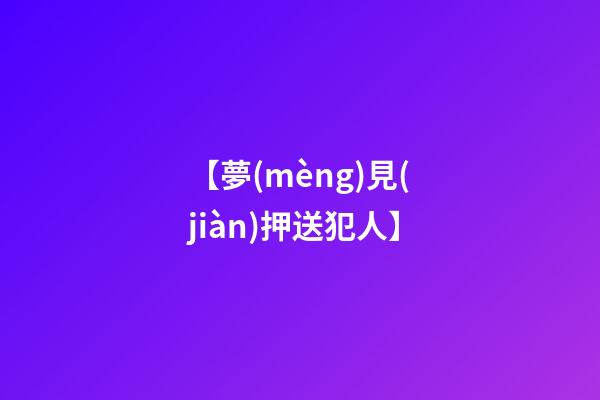 【夢(mèng)見(jiàn)押送犯人】