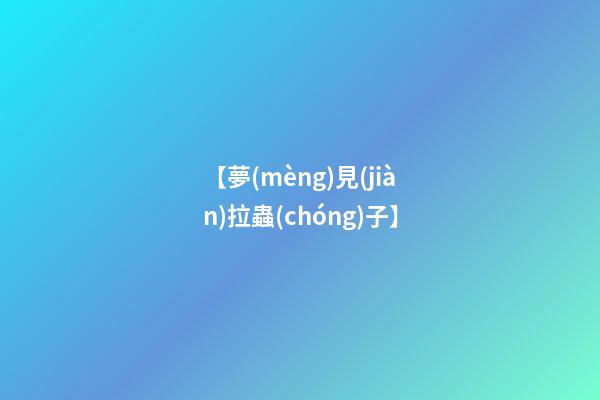【夢(mèng)見(jiàn)拉蟲(chóng)子】