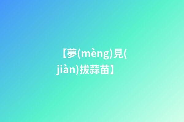 【夢(mèng)見(jiàn)拔蒜苗】